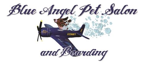 blue angel grooming|blue angel grooming pensacola.